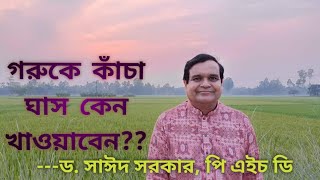 কাঁচা ঘাস গুরুত্বপূর্ণ কেন, কিভাবে রোগব্যাধি কমায় | ড. সাঈদ | Importance \u0026  benifits of Green Grass