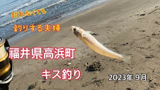 福井県高浜町キス釣り