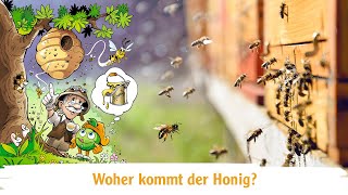 Woher kommt der Honig?