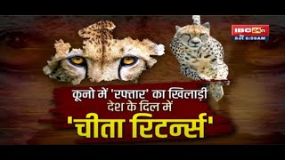 Cheetahs Back To India LIVE Updates। Kuno Natonal Park | कूनों में चीतों का Welcome करेंगे PM Modi