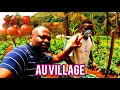 Business tres rentable au village: gagnez 5 millions en investissant 2 millions a batie cameroun