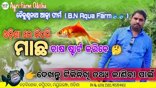 ଓଡିଶାରେ ମାଛ ଚାଷ ଷ୍ଟାର୍ଟ କରି ବର୍ଷକୁ ୪ ରୁ ୫ ଲକ୍ଷ ଟଙ୍କା କିପରି ରୋଜଗାର କରିବେ ଦେଖନ୍ତୁ#fish_farming_odisha