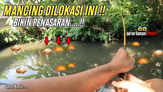 MANCING DI LOKASI INI BIKIN PENASARAN !! || Mancing Red Devil Sungai Jogja