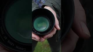 How Long Do They Last? Canon EF 50mm f1.4 vs Canon EF 75-300mm