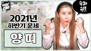 2021년 신축년 하반기 운세🐑양띠│완전 좋거나, 완전 안좋거나!! 극과 극을 달리는 양띠운세 하반기에 뜻밖의 좋은 소식이 기다리고 있다?!