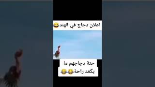 انهم هنود يا سادة 😂 #تحشيش #مقاطع_مضحكة