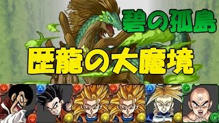 【パズドラ】歴龍の大魔境 碧の孤島 ドラゴンボールPTで挑戦！