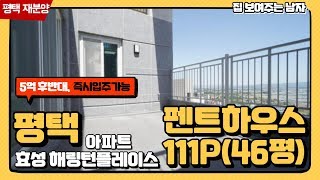 평택 효성해링턴플레이스ㅣ111P타입(46평형)ㅣ랜선집들이