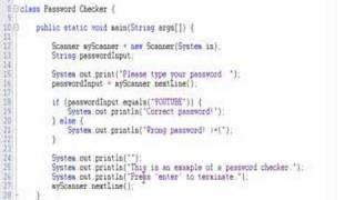Java Programming - Password Checker