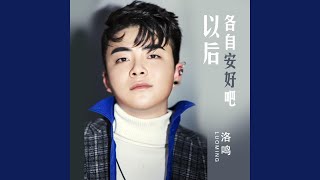 以后各自安好吧 (DJ版)