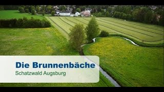 Schatzwald Augsburg - Die Brunnenbäche