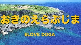 【沖永良部島 空撮】おきのえらぶ島　田皆岬　沖永良部島観光