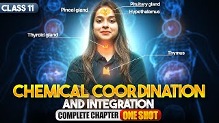 Chemical Coordination and Integration Class 11 One Shot | NCERT Biology Full Chapter Explanation