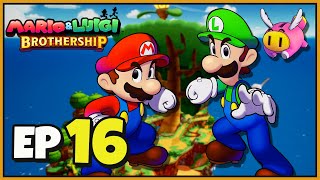 Mario \u0026 Luigi: Brothership Walkthrough Gameplay Part 16 (Nintendo Switch)