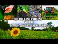 Food Plot Seminar: How to Have Better Food Plots and Less Work, Recorded Live (646)