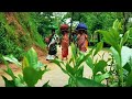 tea garden sylhet madhab