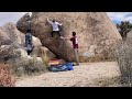 Chili sauce v7 joshua tree