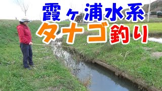 ホソでタナゴ釣り【茨城県霞ヶ浦/小物釣り】100円竿の母さんに完敗！？編