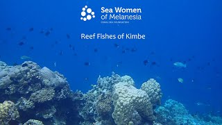 Kimbe Fish ID Video