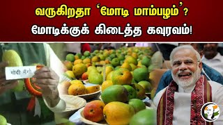 வருகிறதா ‘மோடி மாம்பழம்’? மோடிக்குக் கிடைத்த கவுரவம்! | Modi Mango is coming | Narendra Modi | Mango