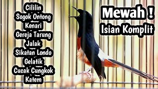 MASTERAN MURAI BATU FULL ISIAN TEMBAKAN CILILIN KENARI GEREJA CUNGKOK SOGON KAPAS TEMBAK JALAK