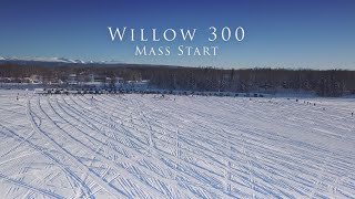 Willow 300