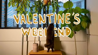 005 Living Alone in Singapore | Valentine's Weekend,  House Parties, Kimchi Fried Rice, Sunday Reset