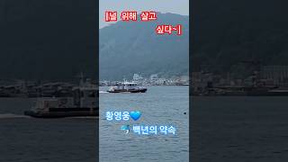 황영웅-백년의 약속 #황영웅 #황영웅복귀기원 #바다 #진해 #파라다이스 #백년의약속