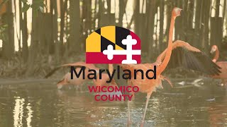 Wicomico County, Maryland: Open For Families