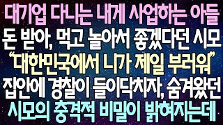 반전 사연 대기업 다니는 내게 사업하는 아들 돈 받아, 먹고 놀아서 좋겠다던 시모 집안에 경찰이 들이닥치자, 숨겨왔던 시모의 충격적 비밀이 밝혀지는데  사이다사연 라디오드라