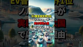 EV普及率世界1位のノルウェーが実は環境大国ではない理由 #テスラ #BYD #トヨタ #海外の反応