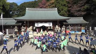 愛知淑徳大学 鳴踊　2016龍馬よさこい11/13（日）　護国神社