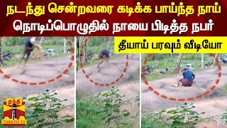 நடந்து சென்றவரை கடிக்க பாய்ந்த நாய் - நொடிப்பொழுதில் நாயை பிடித்த நபர் | தீயாய் பரவும் வீடியோ