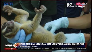 Polres Majalengka Berhasi Gagalkan Penjualan Hewan Dilindungi ke Luar Negeri - SIP 10/01