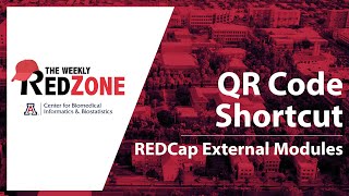 REDZone - Survey QR Codes