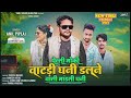 पेल्ली मोकी वाटड़ी घणी दलने वाली मांडली घणी anil piplaj new song 2024 remix dj song अनिल