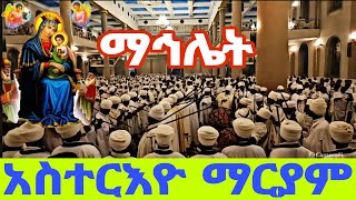 🔵 Live ጥር 21 አስተርእዮ ማርያም || ቀጥታ ሥርዓተ ማኅሌት ከደብረ ምጥማቅ ሰዓሊተ ምህረት ቅድስት ድንግል ማርያም ካቴዴራል ‼️