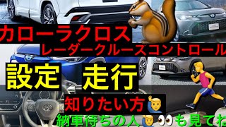 トヨタ　カローラクロス　レーダークルーズコントロール設定方法⭐️走行映像⭐️