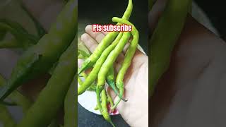 పచ్చిమిర్చి ఎక్కువ తింటున్నారా#greenchilli#telangana#helth#youtubeshorts#viral#shortvideo