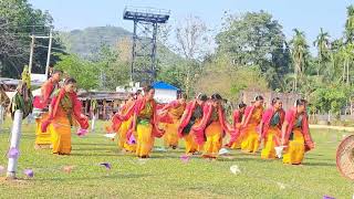 //Bagurumba folk dance bodo//Live function program// বাগুৰুম্বা নৃত্য//