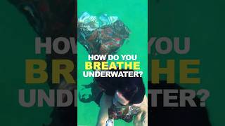 HOW DO MERMAIDS BREATHE UNDERWATER (professional mermaids)