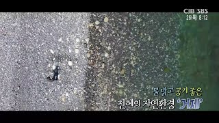 모닝와이드 - 물 맑고 공기 좋은 - 천혜의 자연환경 '거제'