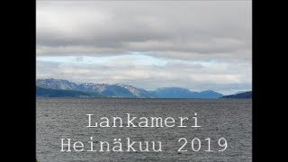 Lankameri - heinäkuu 2019