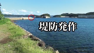 堤防先端に居た女性に声をかけたらまさかのマルチルアー（581話目）