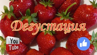 Дегустация первой клубники.🍓  Альба, Клери, Сандра, Сапоре. 🍓