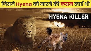 Hyena Killer Lion । Lion Attack Hyena । Ntwadumela Lion । Alpha Factz