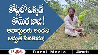 Meet The Forest Man of Palnadu | How did this man create a Forest in Nallamala | Rural Media