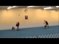 Lady Gaga-Bridget & Pixie & Talia & Ike, Dancing with Dogs
