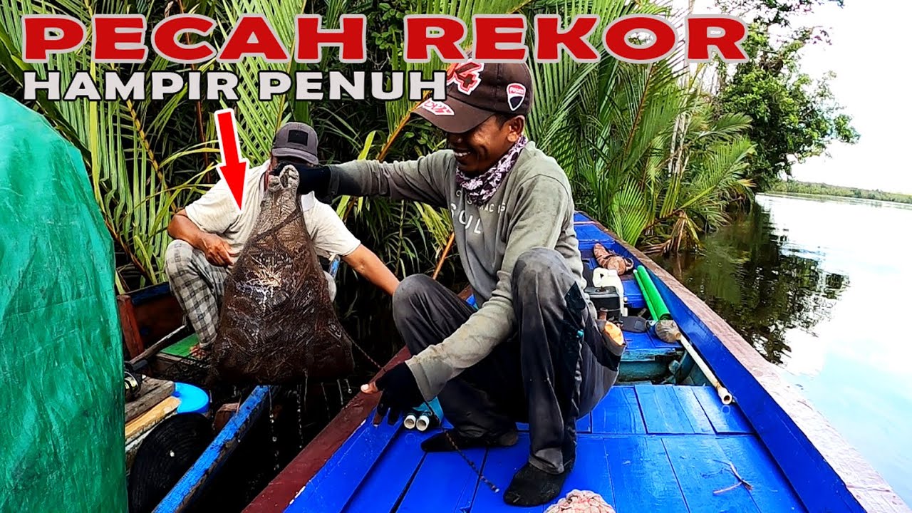 Rekor Terbanyak Dapat Babon Selama Mancing Udang Galah. - YouTube