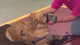 Life-saving effort prompts first responders to fundraise for pet oxygen masks